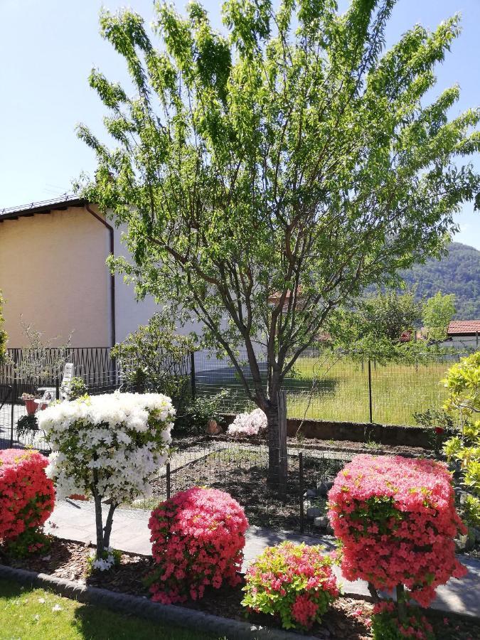 La Rosa Rossa Apartment Cambiasca Bagian luar foto